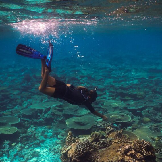 map the giants corals university of milano bicocca marhe center maldives