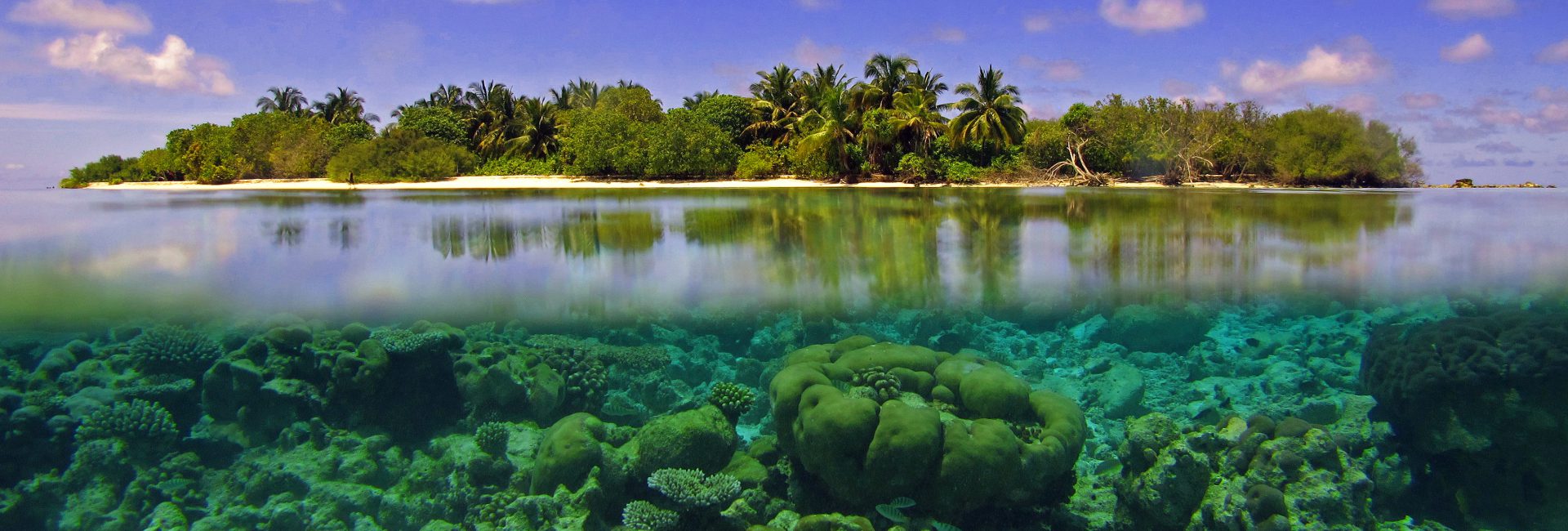 map the giants corals university of milano bicocca marhe center maldives