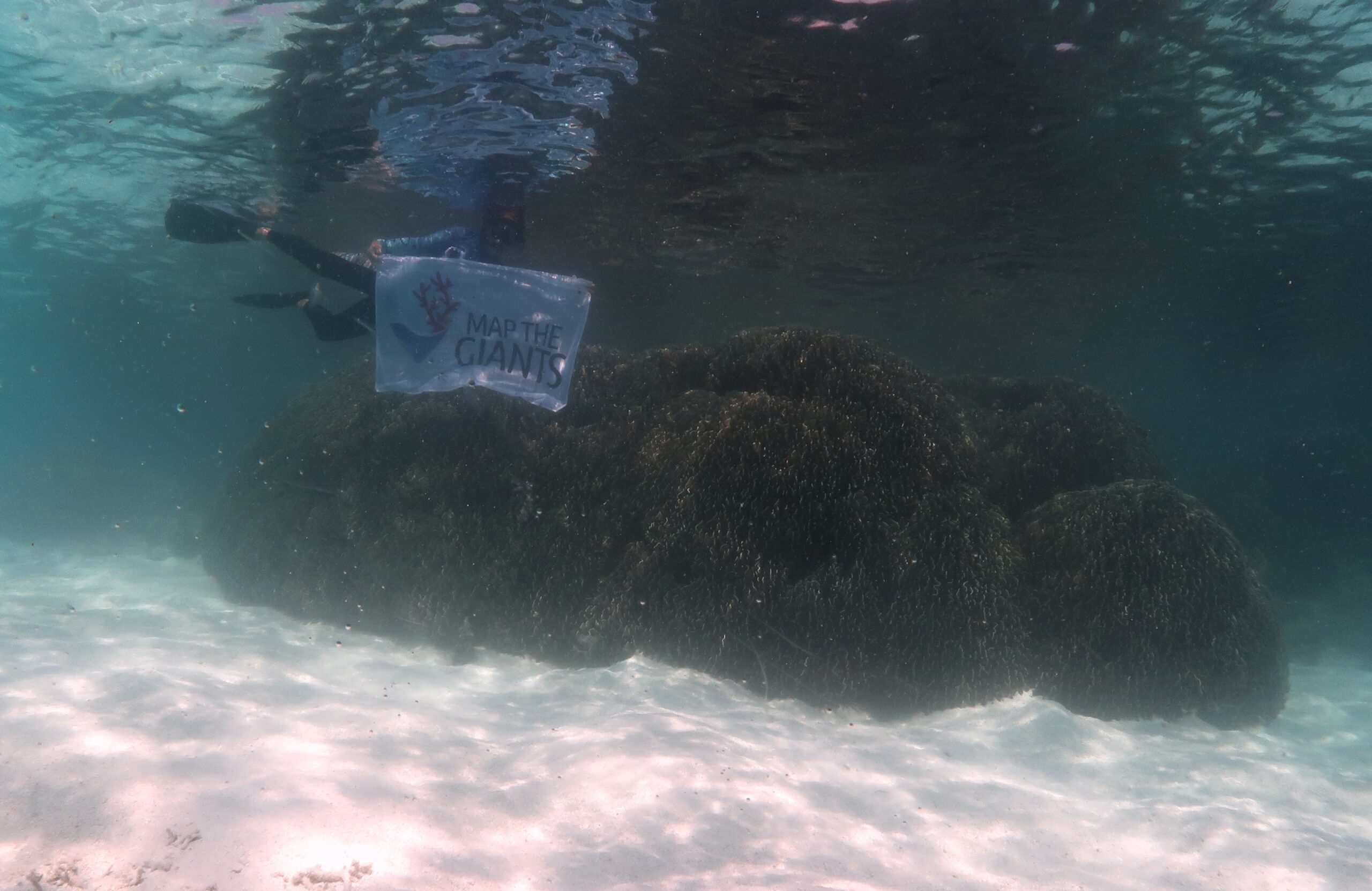 Map the Giants corals marhe center bicocca faafu atoll