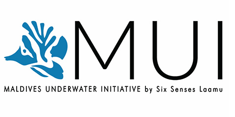 mui