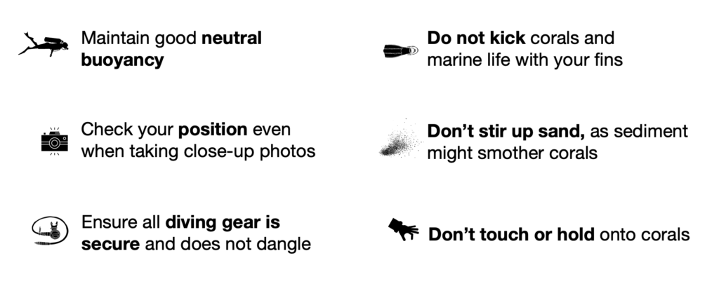 Best practices - coral surveys