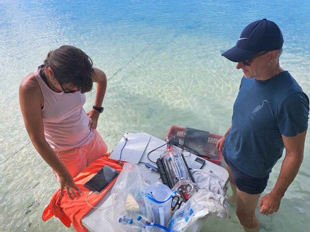 Map the Giants studying corals
