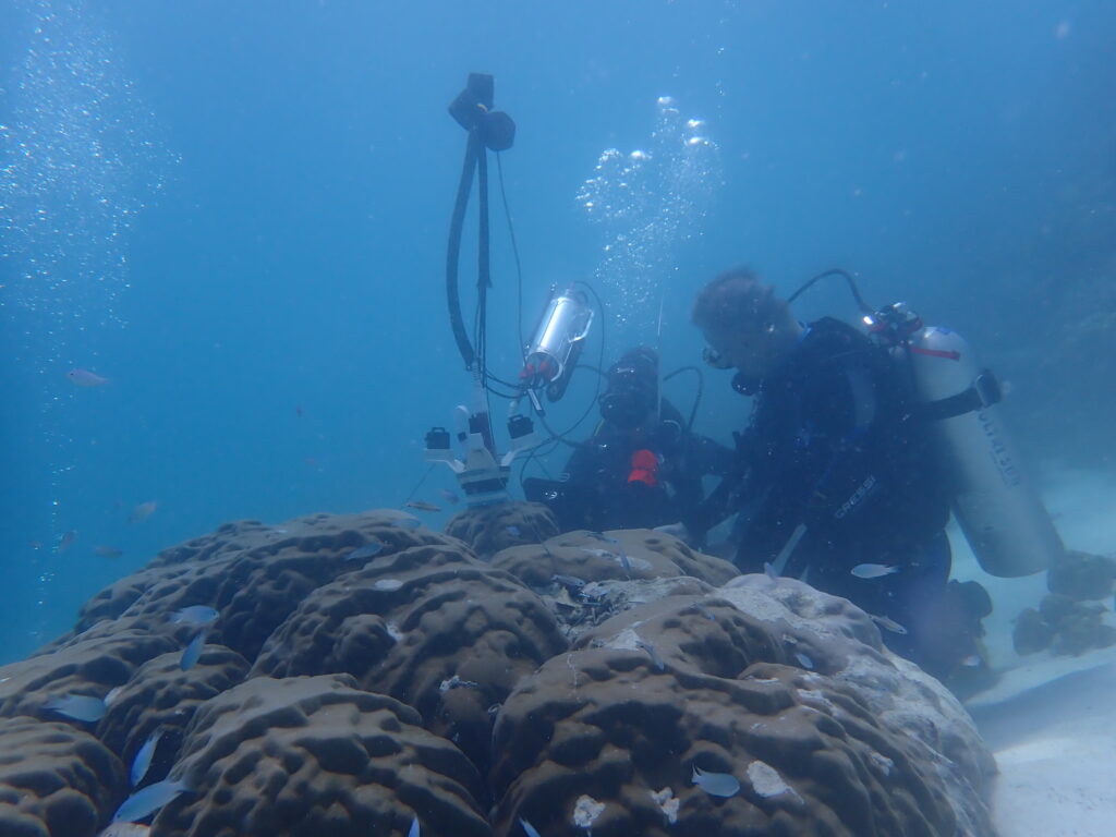 Map the Giants studying corals