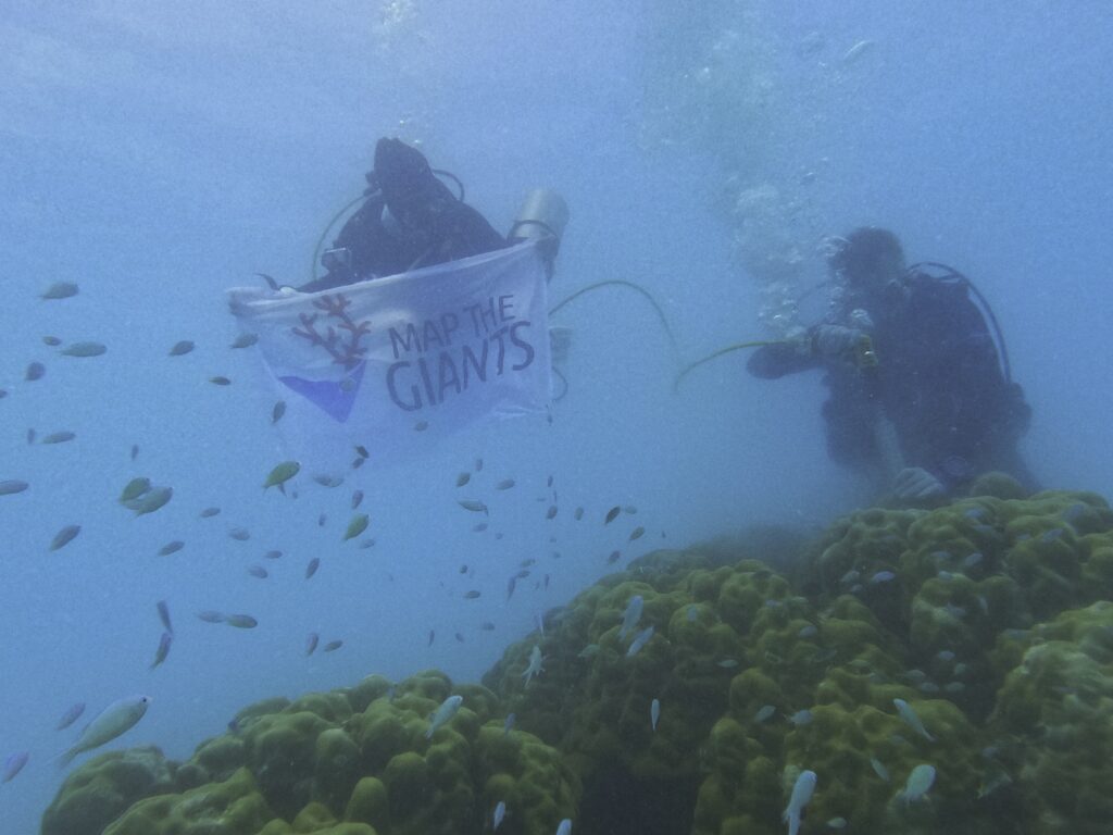 Map the Giants studying corals